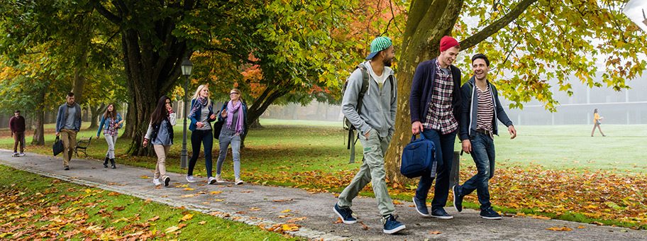 happy students walking on a paved walkway through trees and grass.